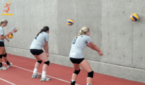 Bài tập bóng chuyền tại nhà