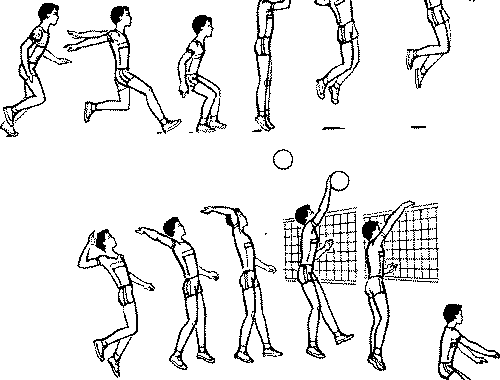 Vị trí Setter trong bóng chuyền