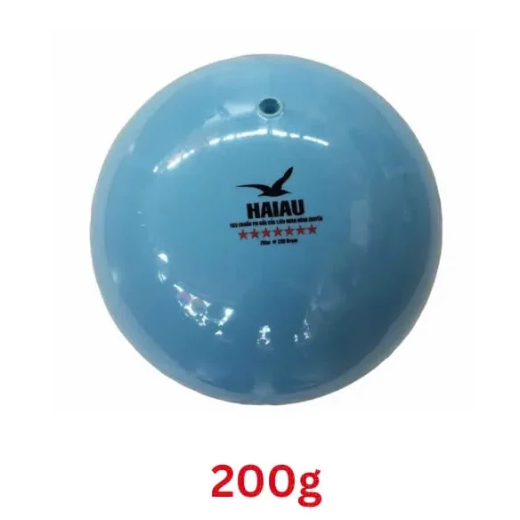 Bóng chuyền hơi Hải Âu